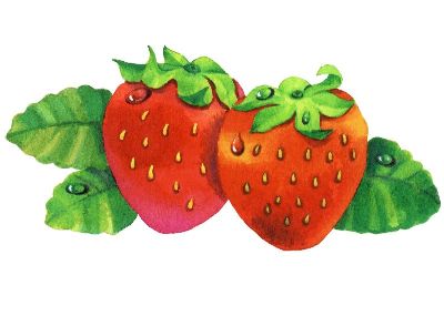 油画-草莓